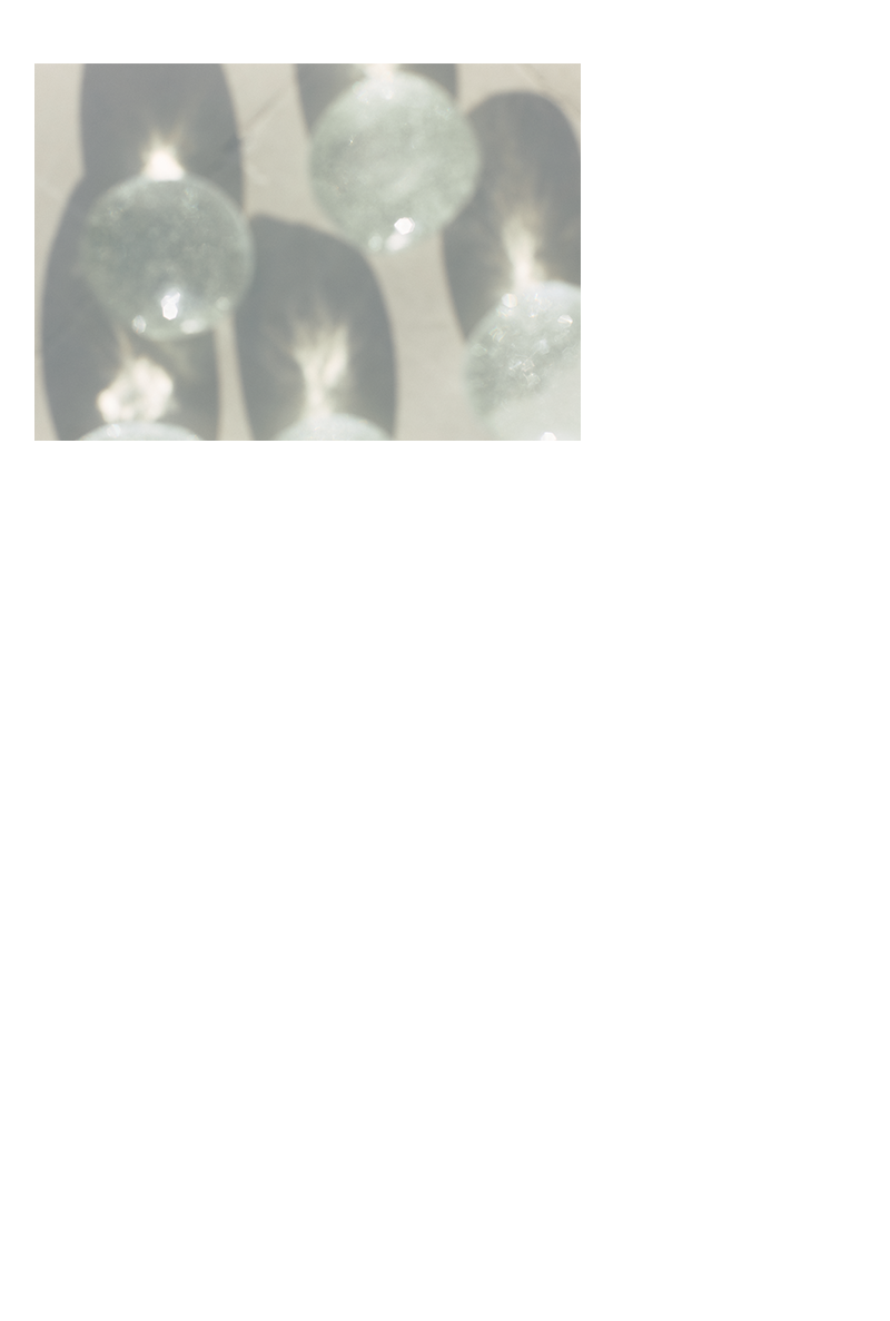 2026 SUMMER COLLECTION：5