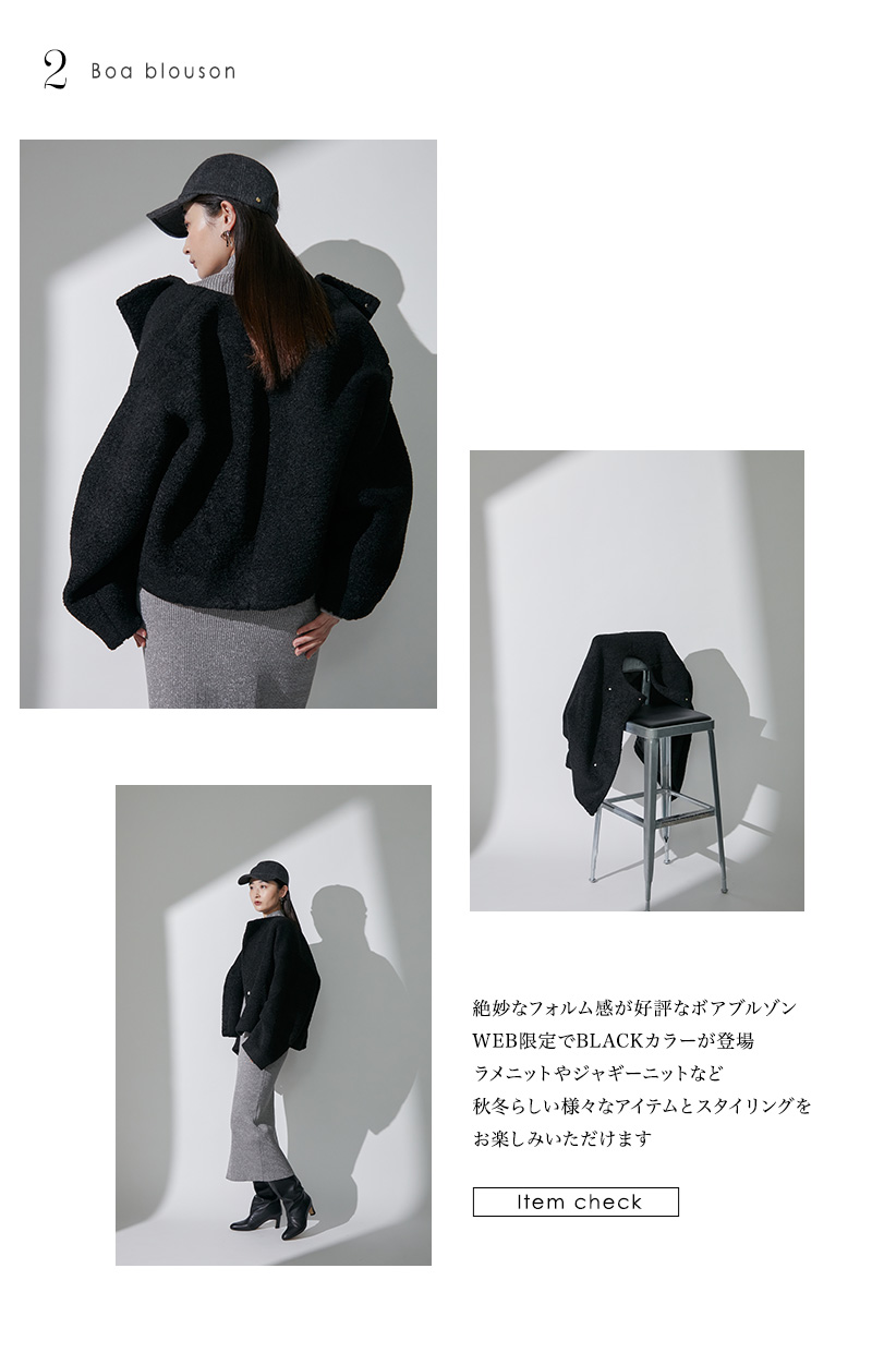 WEB LIMITED ITEM