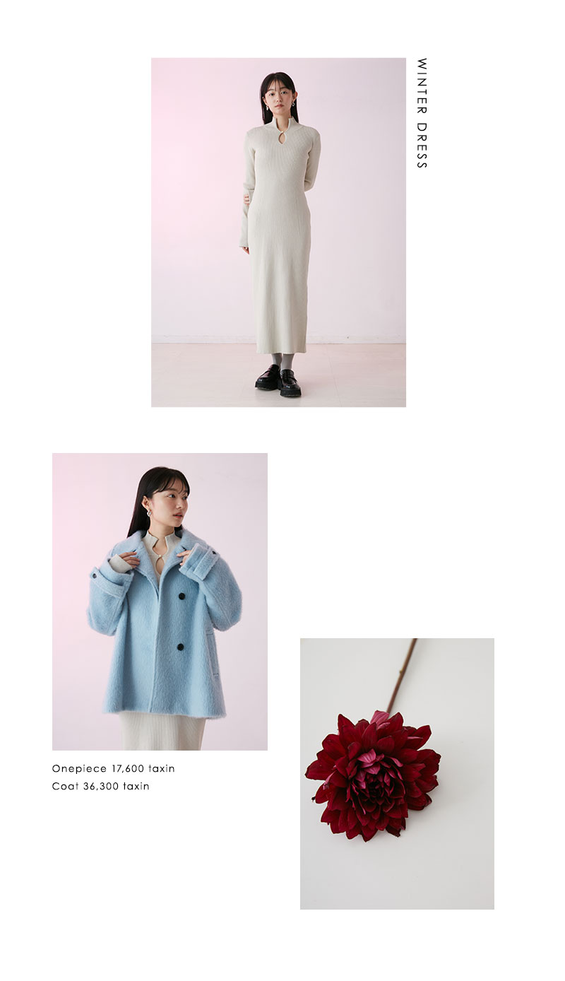 WINTER DRESS