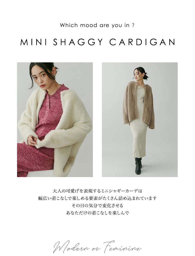 MINISHAGGY MODERN