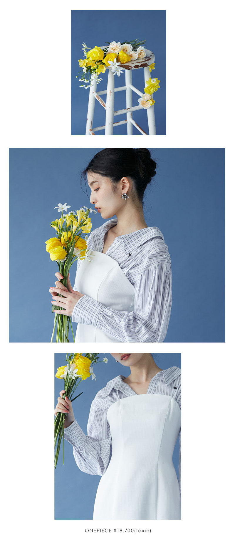 POLO BCS SPRING