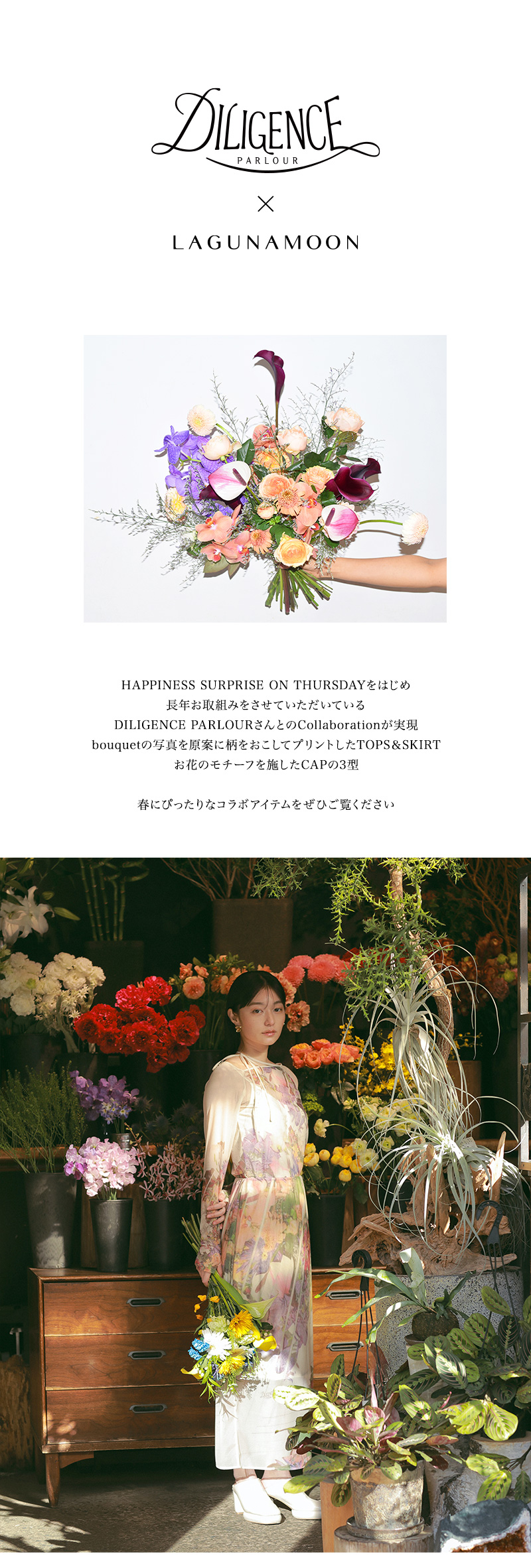 DILIGENCE PARLOUR×LAGUANAMOON